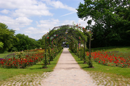Grüttpark in Lörrach